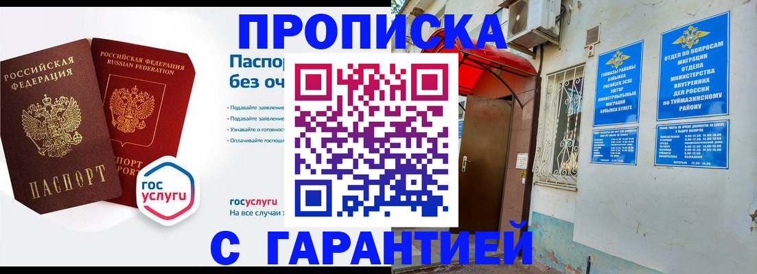 прописка законно в Сольцах