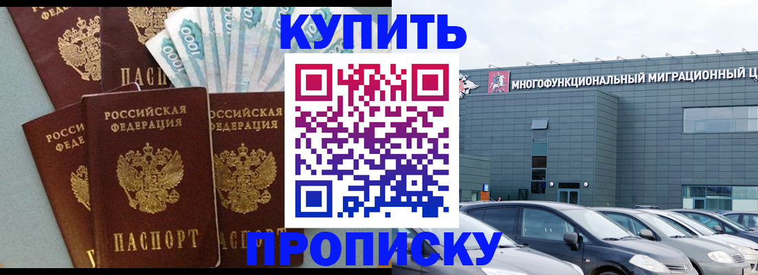 прописка штамп в Сольцах